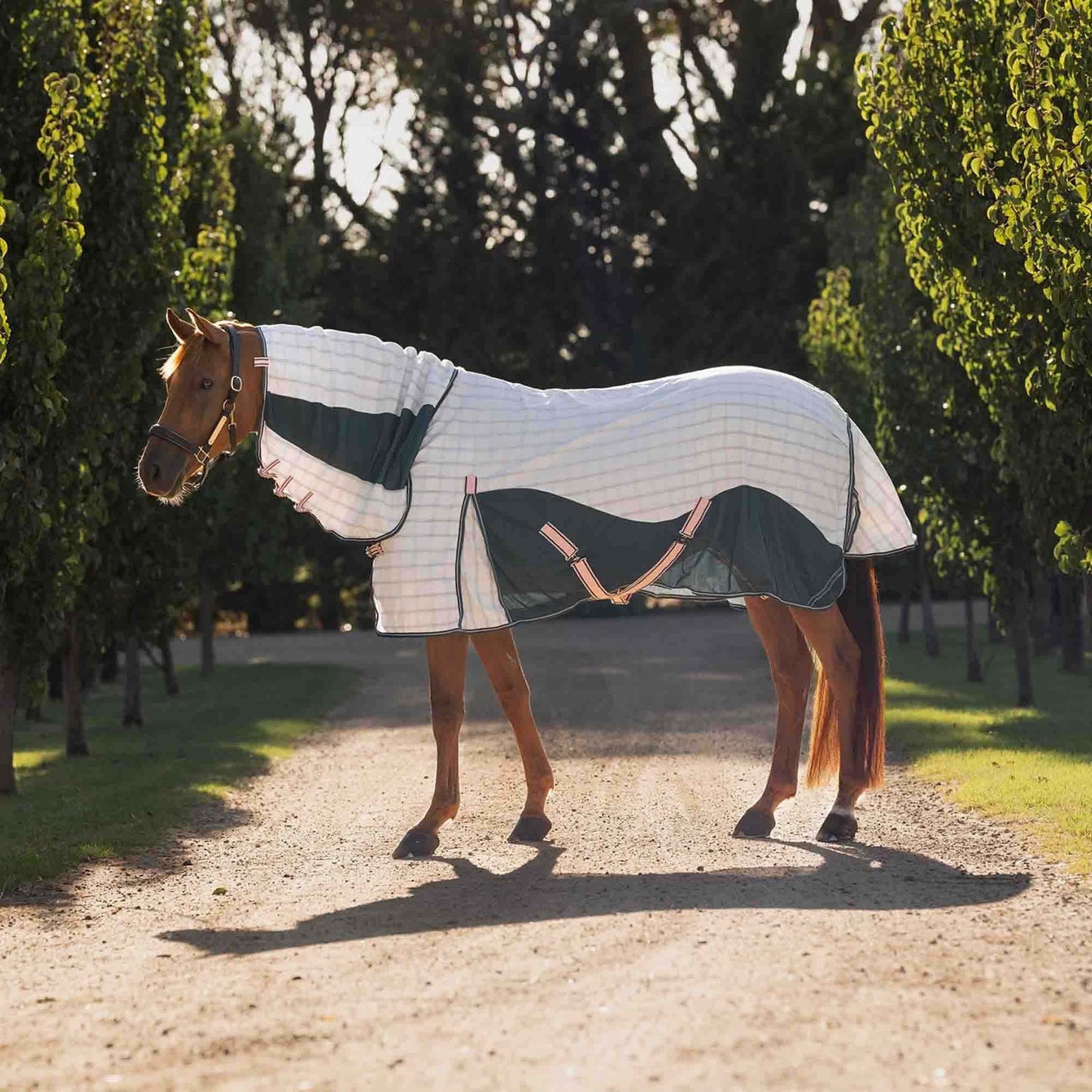 Mixed-Combination Horse Rug — Spruce & Peach — Multiple Sizes Available