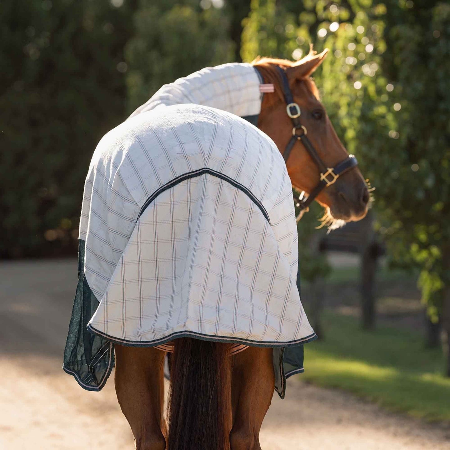 Mixed-Combination Horse Rug — Spruce & Peach — Multiple Sizes Available
